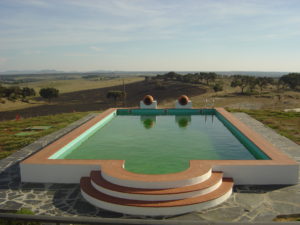 piscina de obra alberca con jarrones